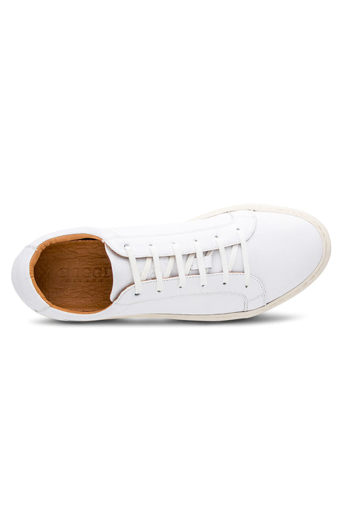 leather sneaker