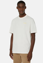 T-Shirt B939 In Cotton