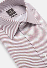 Brown Regular Fit Striped Cotton Shirt